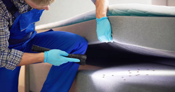 Best Wasp Removal Services  in Galveston, IN