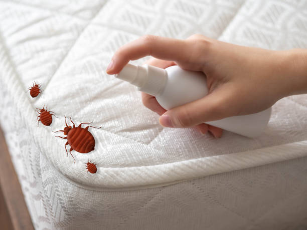 Best Local Pest Control Services  in Galveston, IN