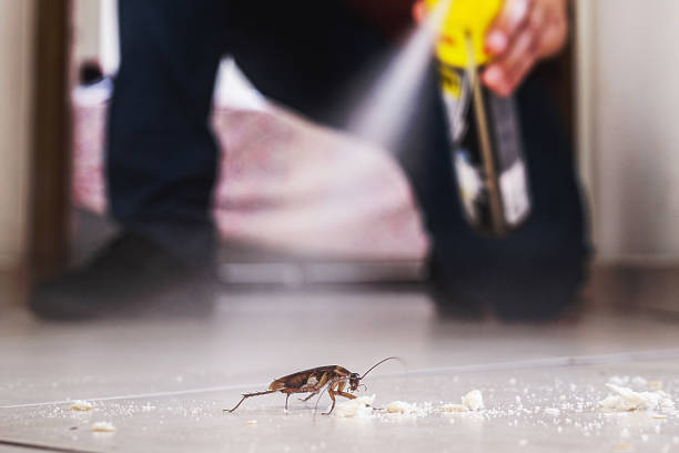 Best Pest Prevention Services  in Galveston, IN