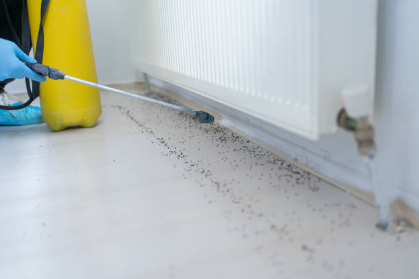 Best Pest Removal Services  in Galveston, IN