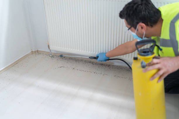 Best Residential Pest Control  in Galveston, IN