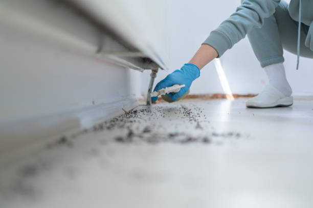 Wasp Removal Services in Galveston, IN